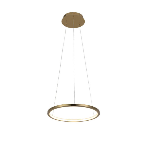 Подвесной светильник LOFT IT RING 10014S