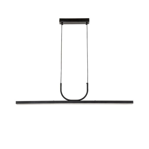 Подвесной светильник Favourite RAYA 4096-1P