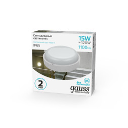 Пылевлагозащищенный светильник Gauss ЖКХ 126411215