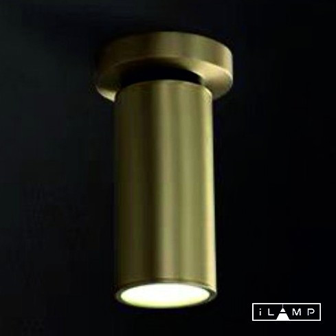 Спот iLamp Plum 8861C BR-BK