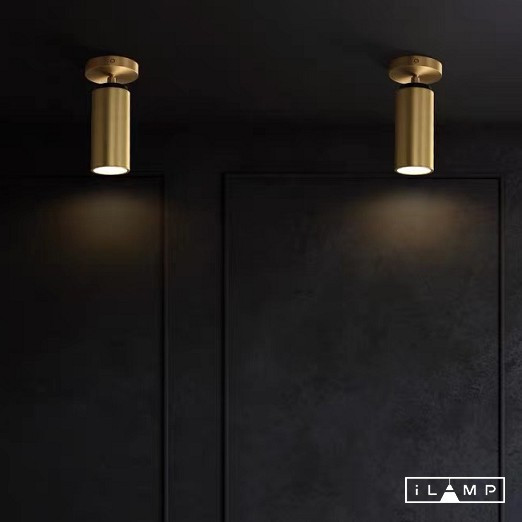 Спот iLamp Plum 8861C BR-BK
