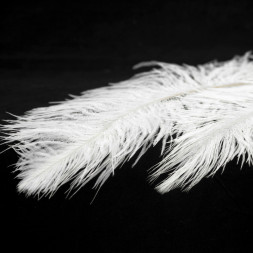 Подвесная люстра Lussole Cuscino LSP-8601