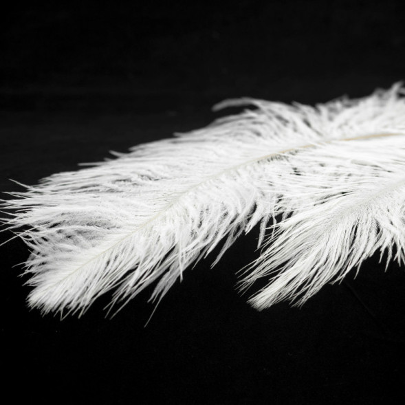 Подвесная люстра Lussole Cuscino LSP-8601