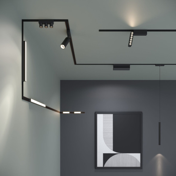 Магнитный трековый светильник Elektrostandard Трековый светильник (чёрный) 85095/01