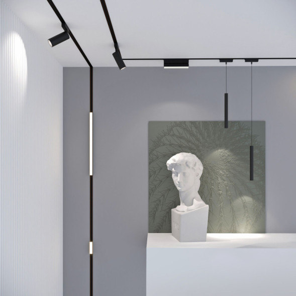 Магнитный трековый светильник Elektrostandard Трековый светильник (чёрный) 85095/01