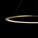 Подвесной светильник LOFT IT RING 10014XL