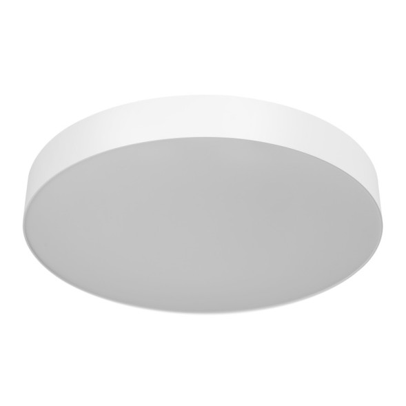 Накладной светильник Citilux CL755490 BART