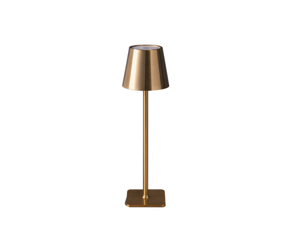 Настольная лампа Kink Light 07203-T,20 Никки