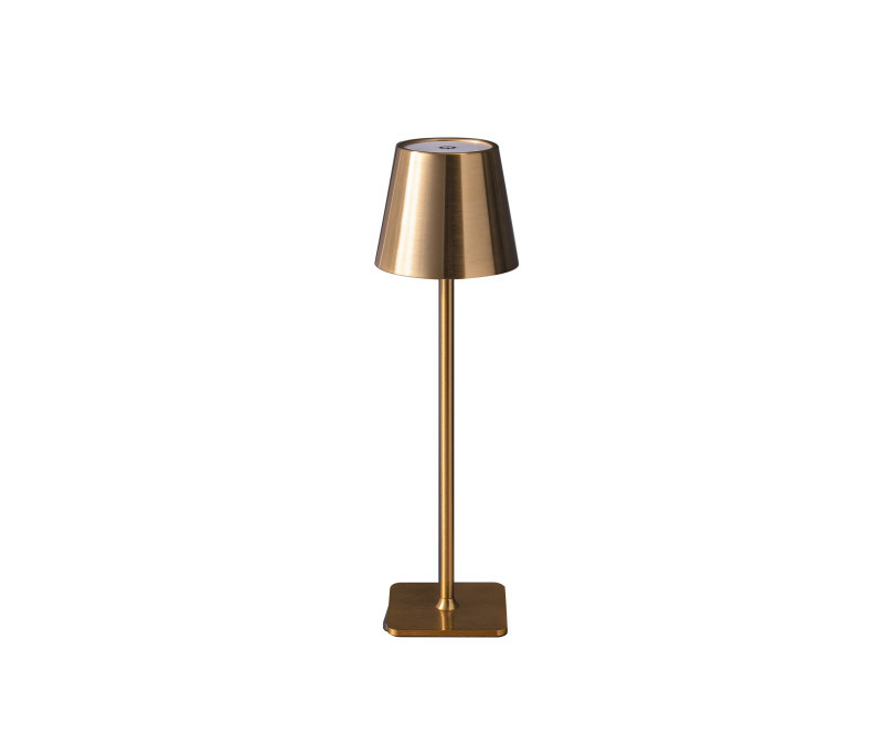 Настольная лампа Kink Light 07203-T,20 Никки