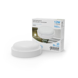 Пылевлагозащищенный светильник Gauss ЖКХ 126411312-S