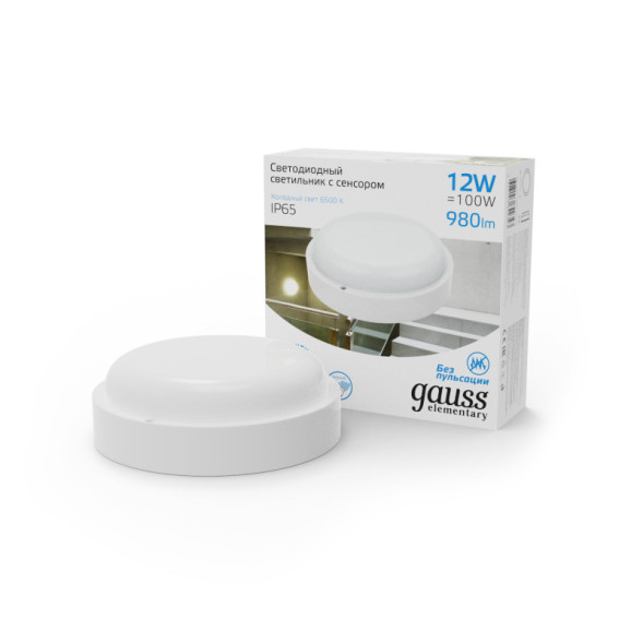 Пылевлагозащищенный светильник Gauss ЖКХ 126411312-S