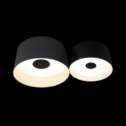 Потолочный светильник LOFT IT 10360/2 DUO