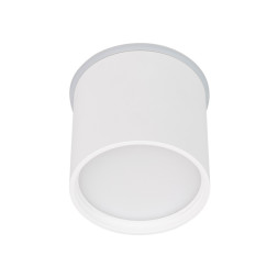 Точечный влагозащищенный светильник Arlight CYLINDO 041246