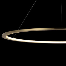 Подвесной светильник LOFT IT RING 10014XXL