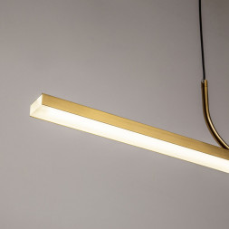 Подвесной светильник Favourite RAYA 4097-1P