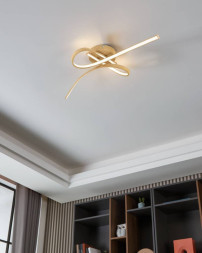 Светильник потолочный EGLO SELVINA 2 901103