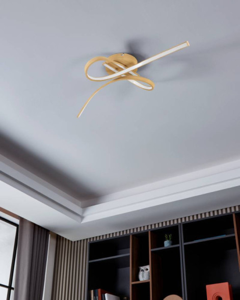 Светильник потолочный EGLO SELVINA 2 901103