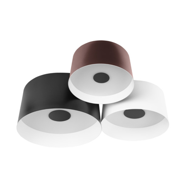 Потолочный светильник LOFT IT 10360/3 DUO