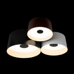 Потолочный светильник LOFT IT 10360/3 DUO