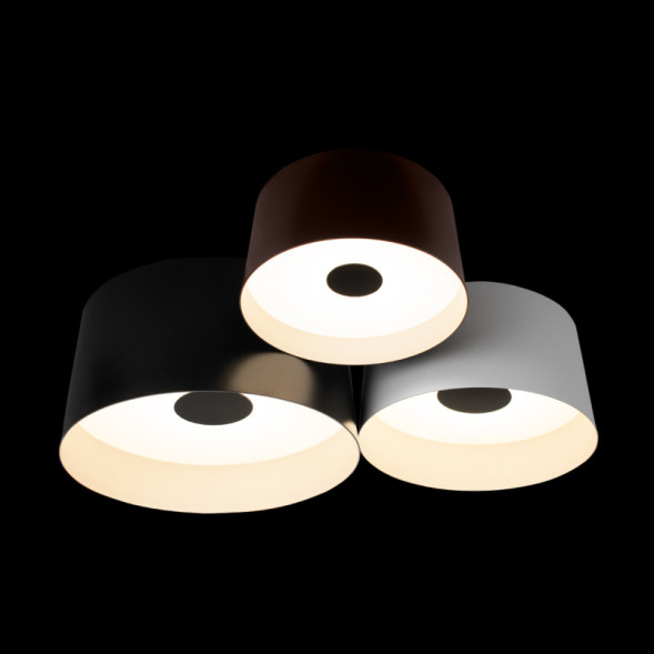 Потолочный светильник LOFT IT 10360/3 DUO