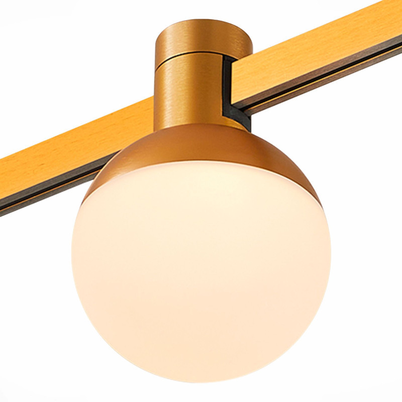 Магнитный трековый светильник ST-Luce ST815.246.05 FARM
