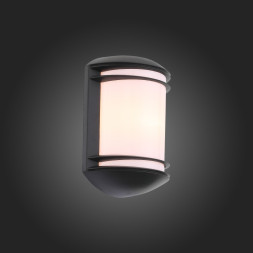 Уличный настенный светильник ST-Luce Agio SL076.401.01