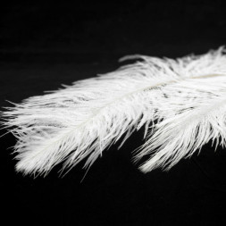 Подвесная люстра Lussole Cuscino GRLSP-8600