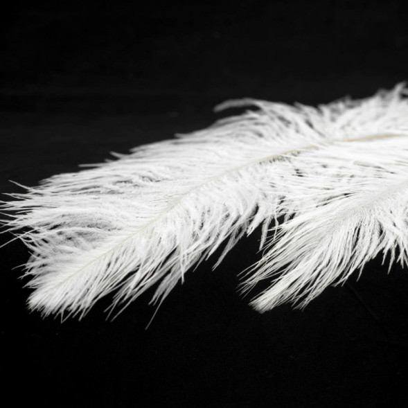 Подвесная люстра Lussole Cuscino GRLSP-8600