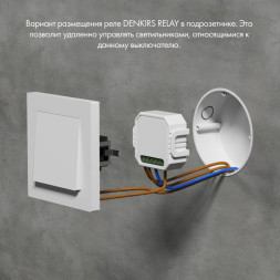 Wi-Fi реле Denkirs RL1001-SM/1 Relay