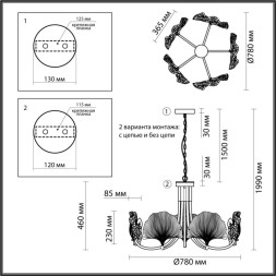 Люстра на штанге Odeon Light VENTAGLIO 4870/5