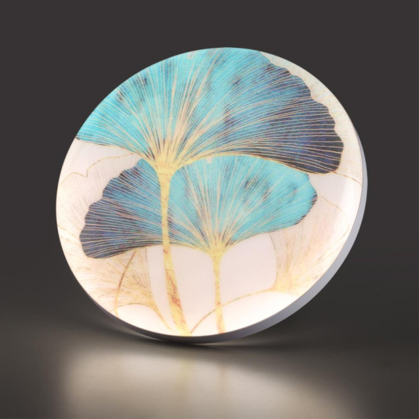 Потолочный светильник Sonex FLOREN 7747/DL