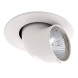 Встраиваемый точечный светильник Lightstar BRACCIO 011060