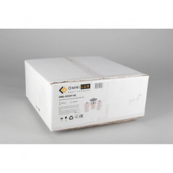 Люстра на штанге Omnilux Omnilux 553 OML-55307-05