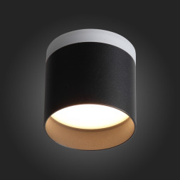 Накладной точечный светильник ST-Luce PANAGGIO ST102.402.09