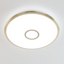 Потолочный светильник Citilux Старлайт Смарт CL703A83G