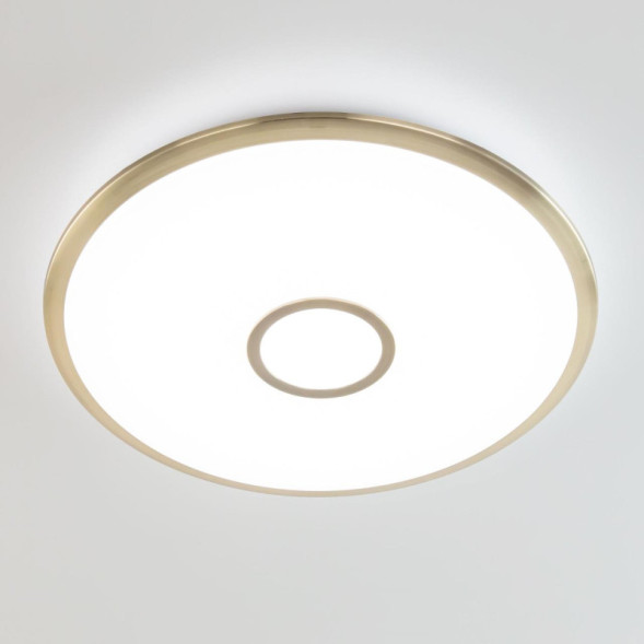 Потолочный светильник Citilux Старлайт Смарт CL703A83G