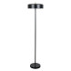 Торшер ARTE Lamp SKAT A7052PN-2BK