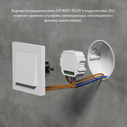 Wi-Fi реле Denkirs RL1002-SM/1 Relay