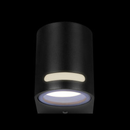 Уличный настенный светильник LOFT IT 100012/A