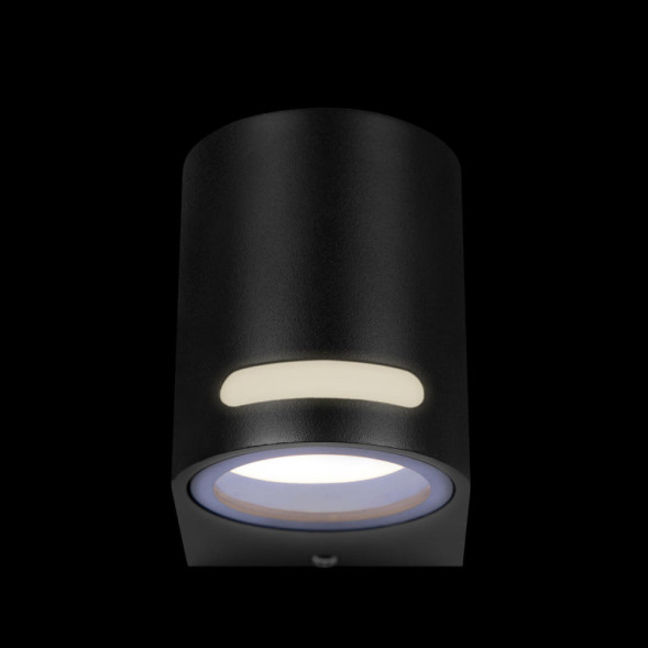 Уличный настенный светильник LOFT IT 100012/A