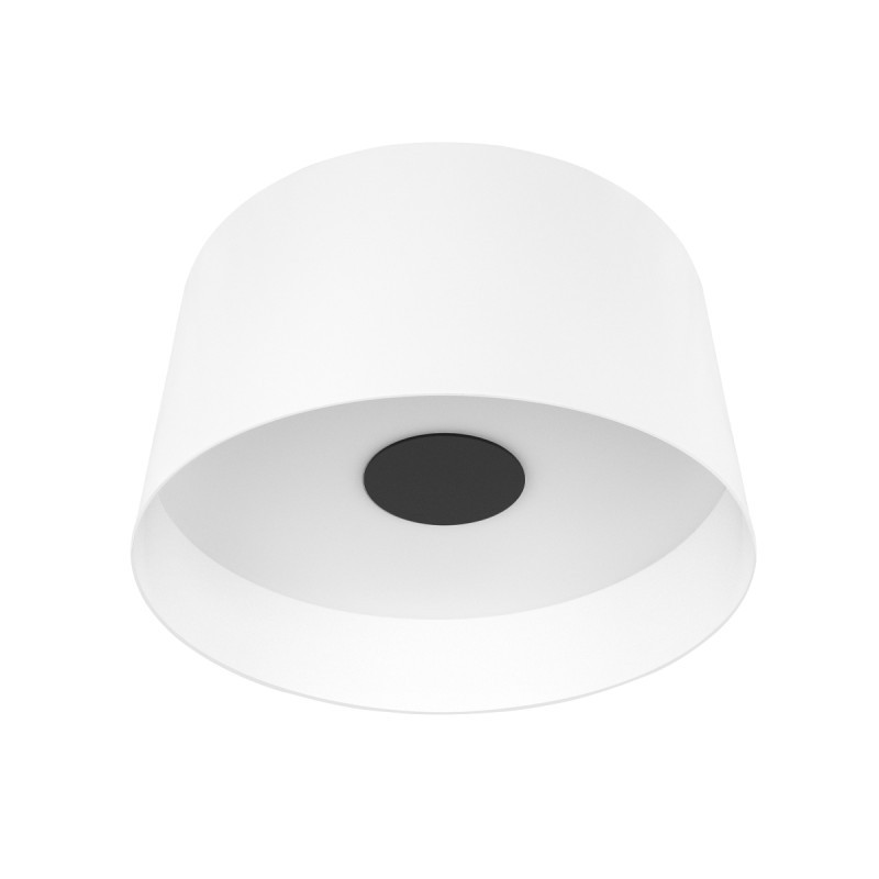 Потолочный светильник LOFT IT 10360L White DUO