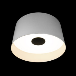 Потолочный светильник LOFT IT 10360L White DUO