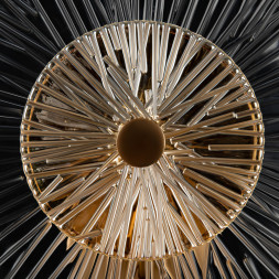 Бра Maytoni ASTER MOD007WL-01G