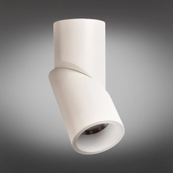 Накладной точечный светильник Omnilux Omnilux 101 OML-101809-12