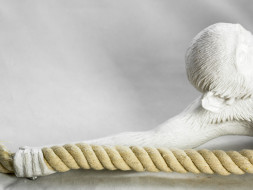 Подвесной светильник Lussole HICKSVILLE LSP-9993