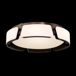 Потолочный светильник Freya Ethan FR6041CL-L92W