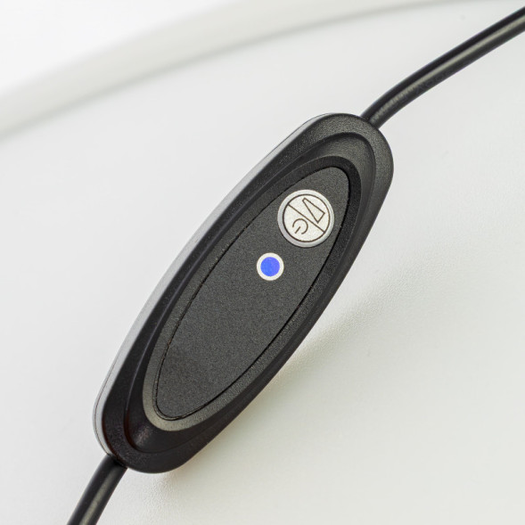 Настольная лампа Citilux CL812012 Lina