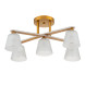Потолочная люстра Escada SILVA 1101/5PL