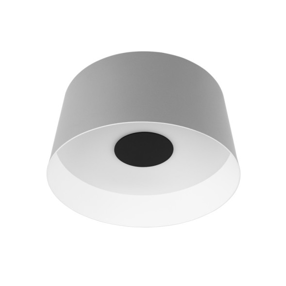 Потолочный светильник LOFT IT 10360M Grey DUO