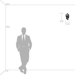 Бра Lightstar ISABELLE 791612